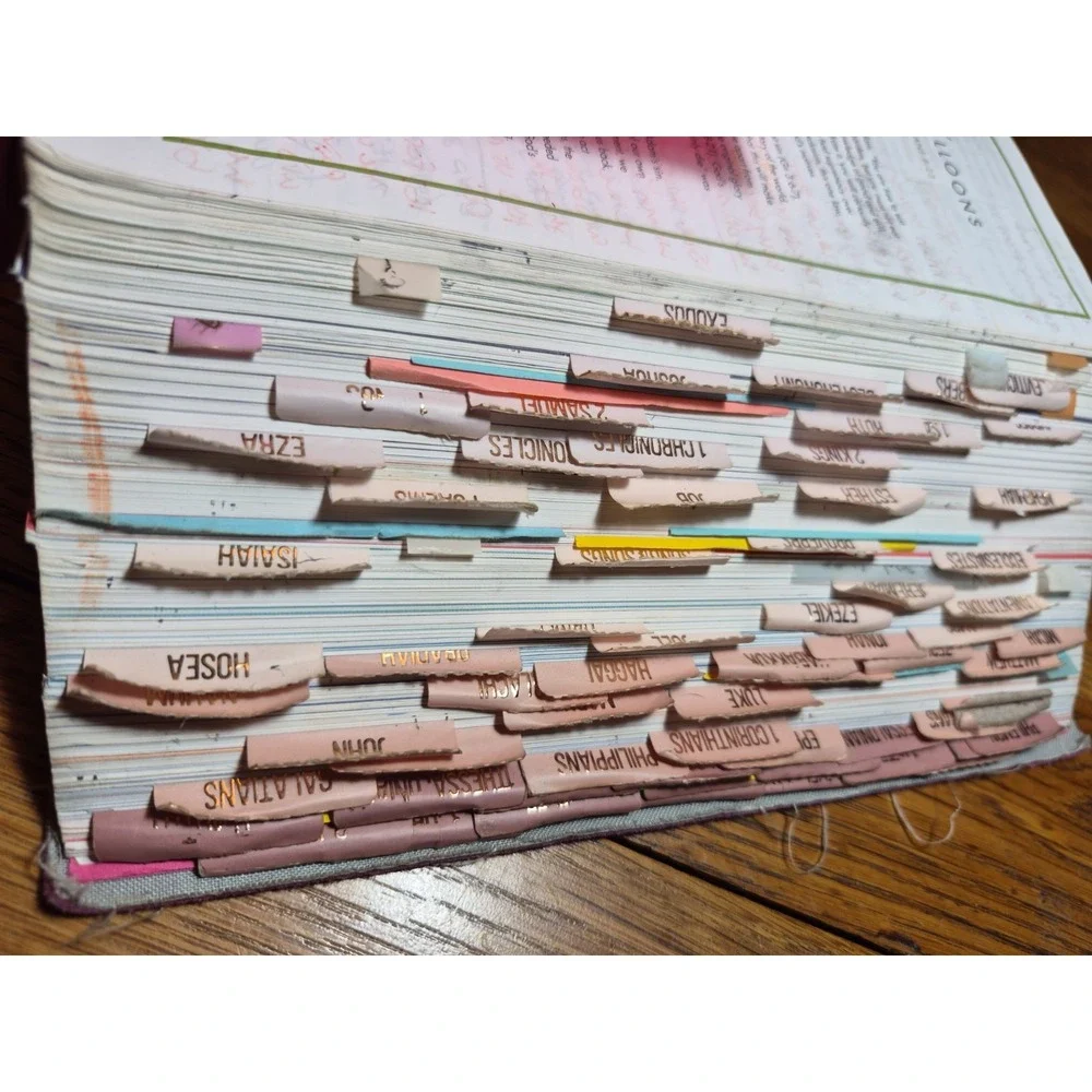 CSB She Reads Truth Bible, Indexed Pink Cover With Damages Read Desc.see Picture